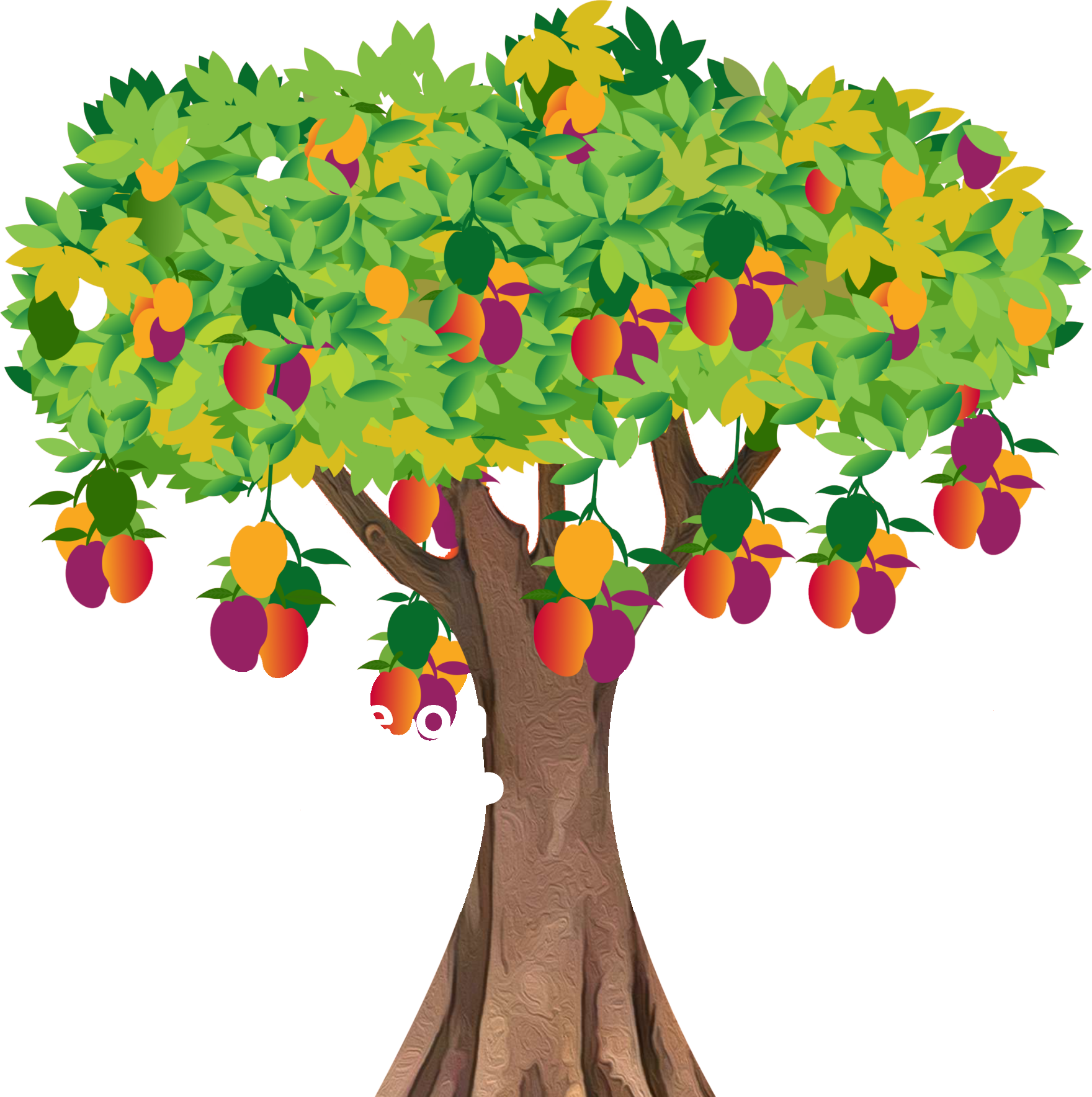 A force on the rise