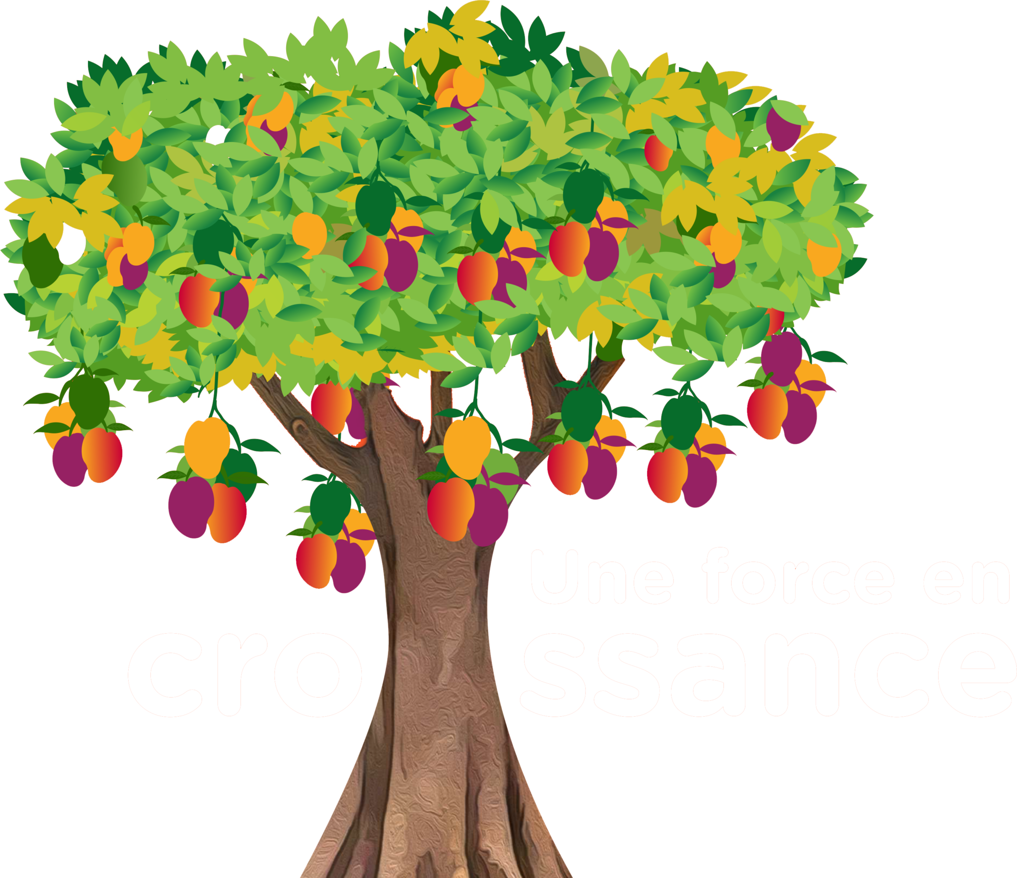 Une force en croissance