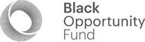 Black Opportunity Fund