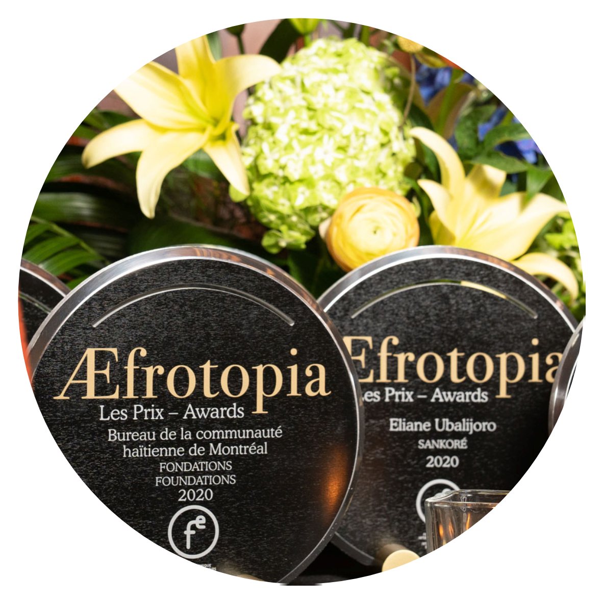 Trophées des Prix Æfrotopia